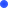 Section label icon
